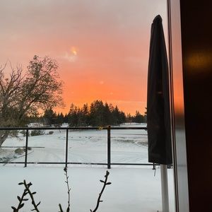 Meet your Posher, Carrie